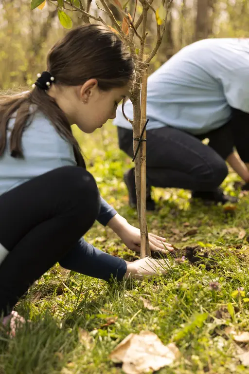enfant plante jeune arbre