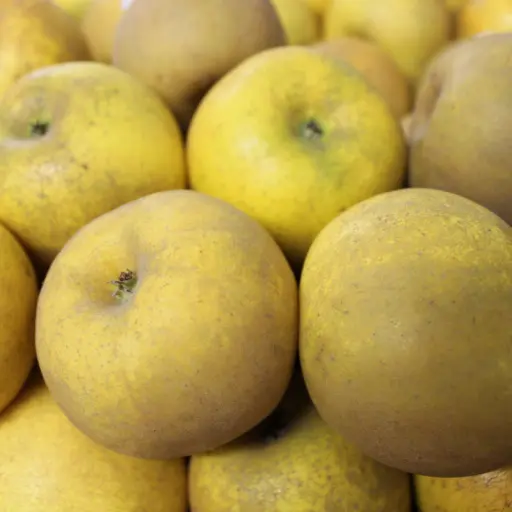 Pomme reinette Clochard (AB)