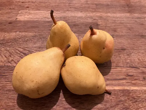 Williams Bon Chrétien