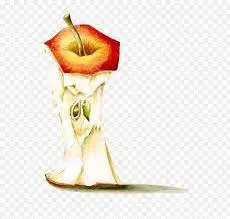 [POM_1025] Pomme Barlique (AB)